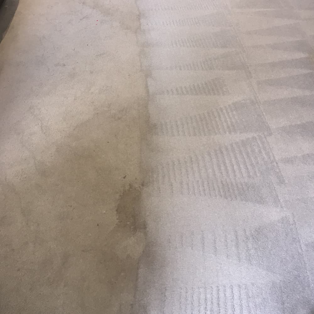 Carpet-Cleaning-World's End