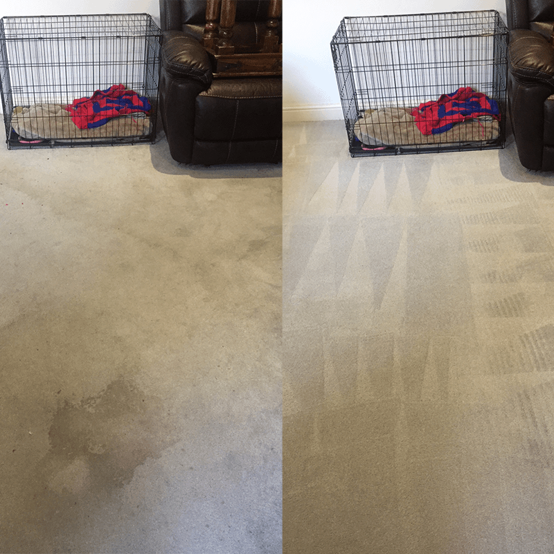 Carpet-Cleaning-World's End